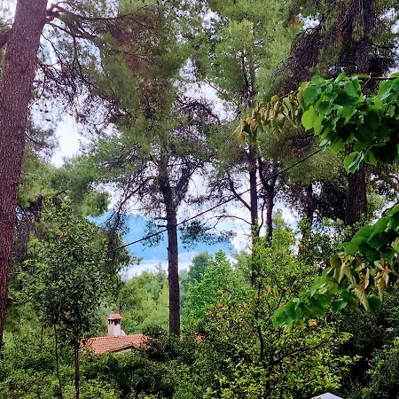 Villa Nefeli Sani (Chalkidiki)