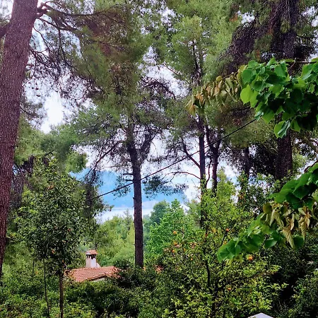 빌라 Nefeli Sani (Chalkidiki)