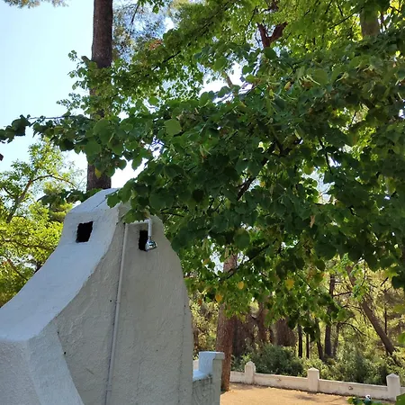 Nefeli * Sani (Chalkidiki)