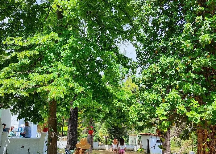 Villa Nefeli Sani (Chalkidiki)