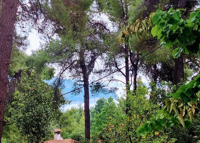 Villa Nefeli Sani (Chalkidiki)